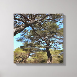 Tangled Branches Of Pine Trees Bizarre Perspective Canvas Print