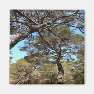 Tangled Branches Of Pine Trees Bizarre Perspective Magnet