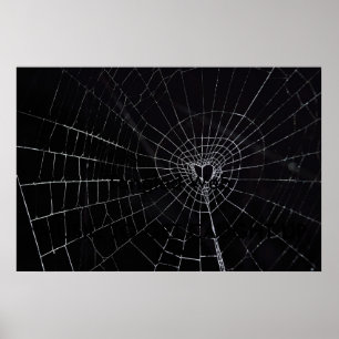 Tangled Web Poster