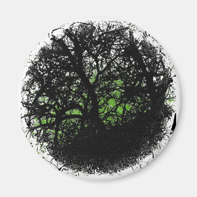 Tanglewood Magnet (Front)