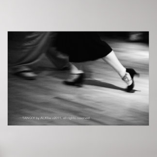 Tango! a photograph by ALXSw Poster