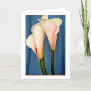 Tango Calla Lily Photo Greeting Card