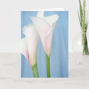 Tango White Calla Lily Photo Art Greeting Card
