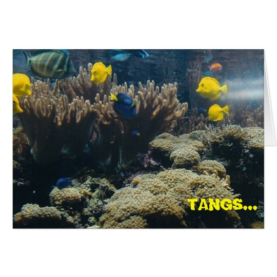 TANGS... a lot! - thank you card
