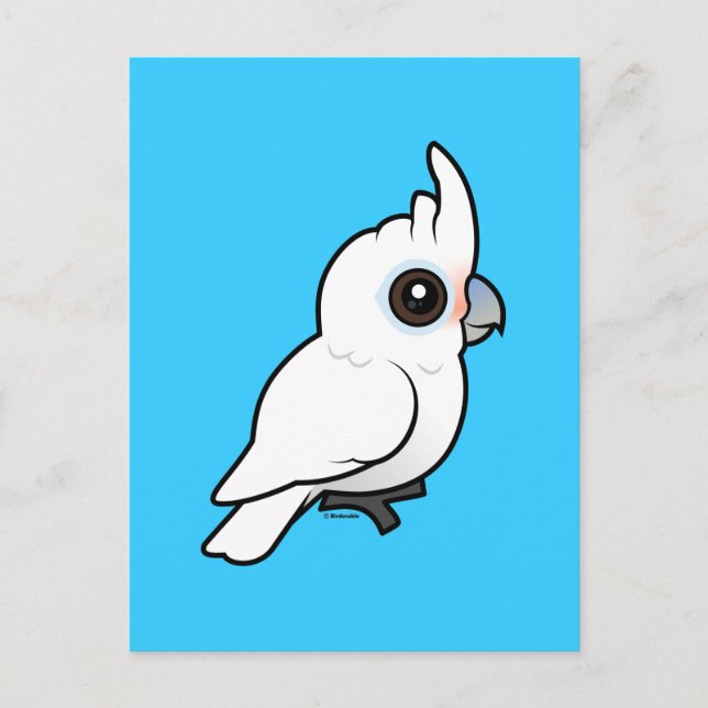 Tanimbar Corella Postcard (Front)