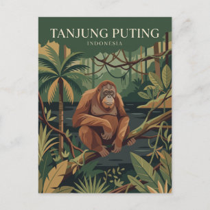Tanjung Puting National Park Indonesia Postcard