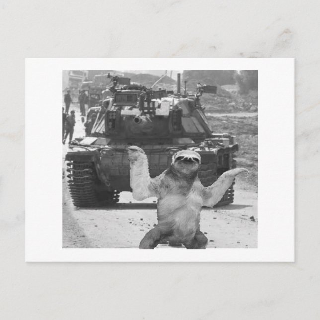 tank and sloth postcard (Front)