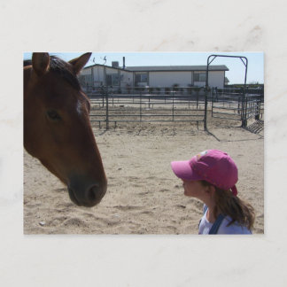 Tank & Baylie Postcard