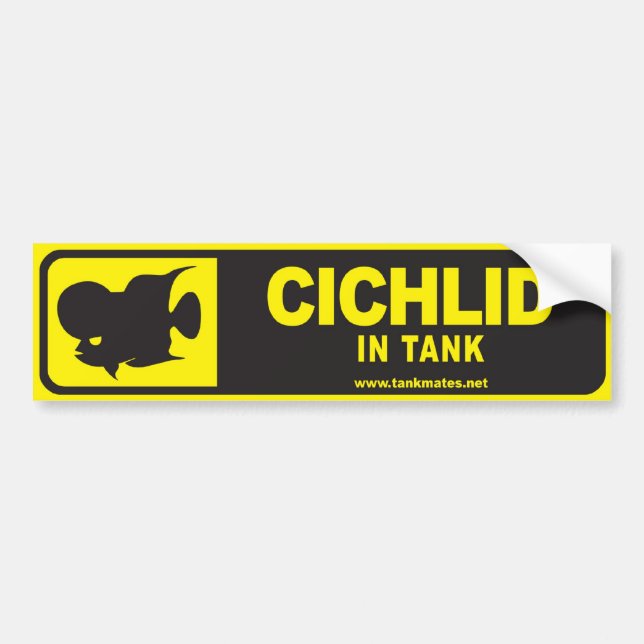 Tank Mates bumper sticker series 1-Cichlid (Front)