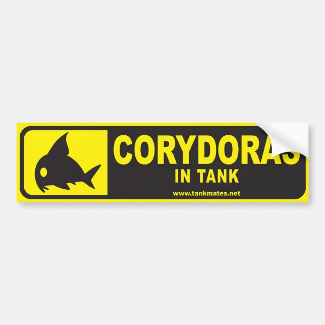 Tank Mates bumper sticker series 1-Corydoras (Front)