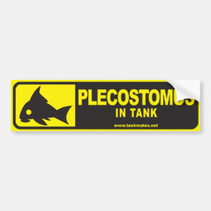Tank Mates bumper sticker series 1-Plecostomus