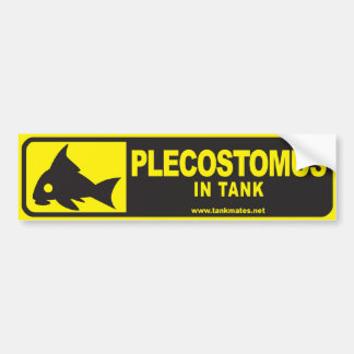 Tank Mates bumper sticker series 1-Plecostomus