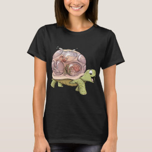 Tank the Tortoise