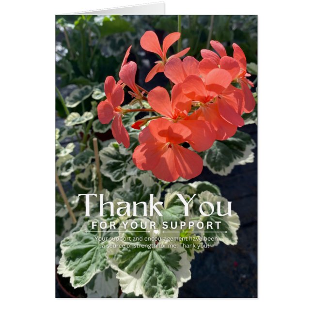 Tank you for you suport Thank you Card (Front)