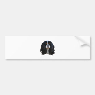 Tansy Bumper Sticker