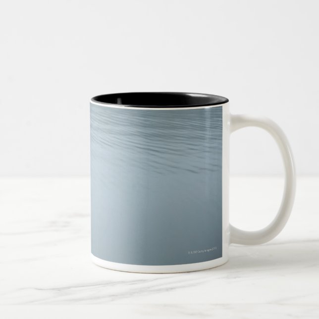 Tanuki-ko, Lake Tanuki Two-Tone Coffee Mug (Right)