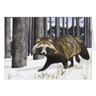 Tanuki - Racoon Dog