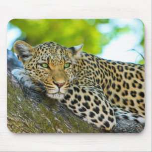 Tanzania Leopard Mouse Pad