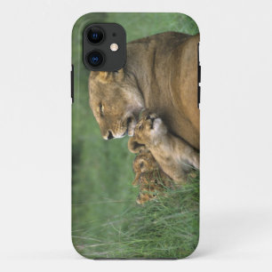 Tanzania, Ngorongoro Crater. African lion mother iPhone 11 Case