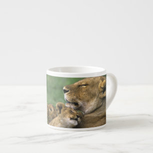 Tanzania, Ngorongoro Crater. African lion mother Espresso Cup