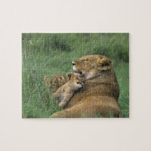 Tanzania, Ngorongoro Crater. African lion mother Jigsaw Puzzle