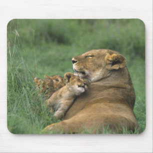 Tanzania, Ngorongoro Crater. African lion mother Mouse Mat