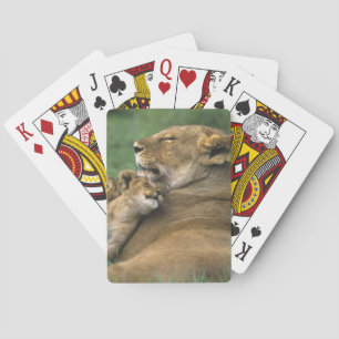 Tanzania, Ngorongoro Crater. African lion mother Playing Cards