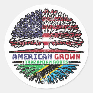 Tanzania Tanzanian US American USA United States Classic Round Sticker