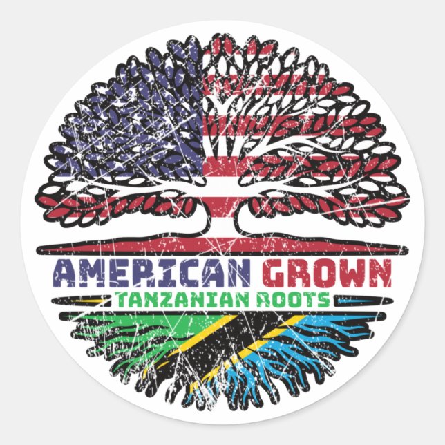 Tanzania Tanzanian US American USA United States Classic Round Sticker (Front)