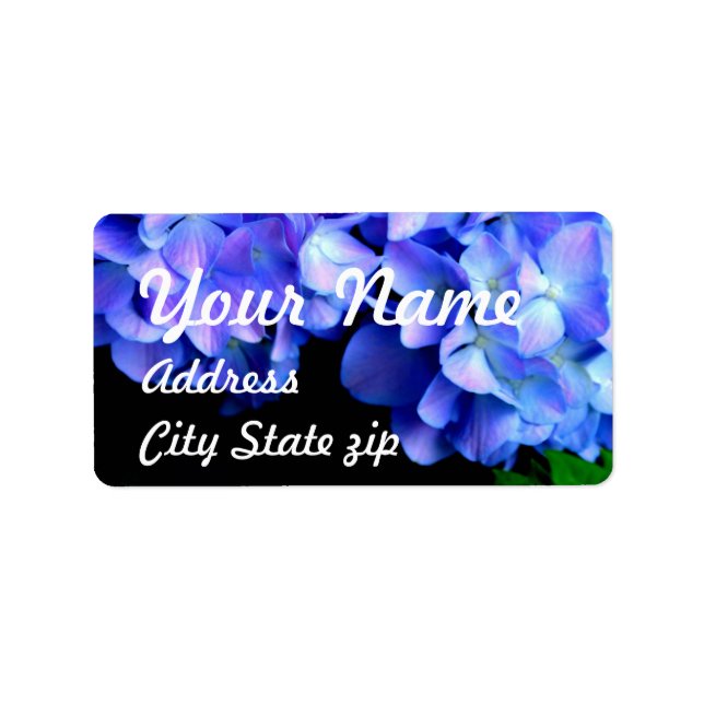 Tanzanite hydrangeas, blue purple magenta flowers  label (Front)