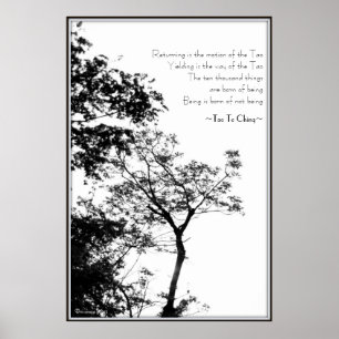 Tao Te Ching/Sunset Tree B&W Photography Poster