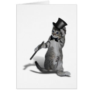 Tap Dancing Cat