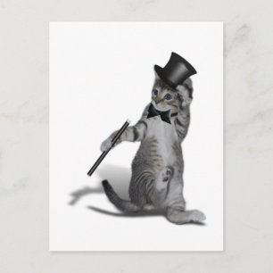 Tap Dancing Cat Postcard