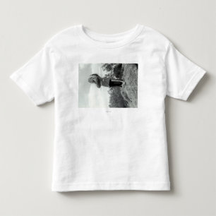 Tap-Tu-Ka Posing, Famous Indian Tenor Toddler T-Shirt