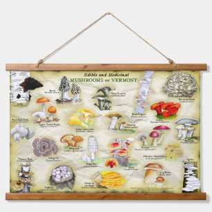 Tapestry Mushrooms of Vermont