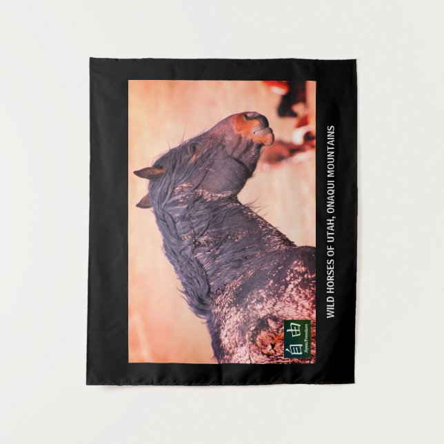 Tapestry WILD HORSES OF UTAH, ONAQUI MOUNTAINS (Front)