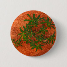"Tapioca on Mars"