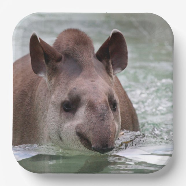Tapir 001 paper plate (Front)