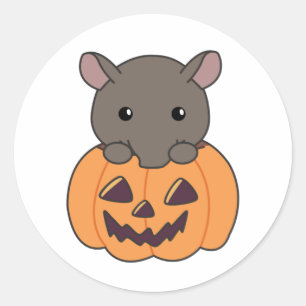 Tapir In Pumpkin Cute Tapire Happy Halloween Classic Round Sticker