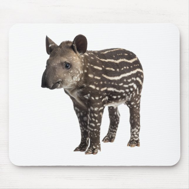 Tapir Mouse Mat (Front)