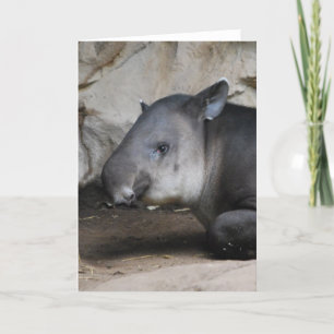 Tapir Note Card