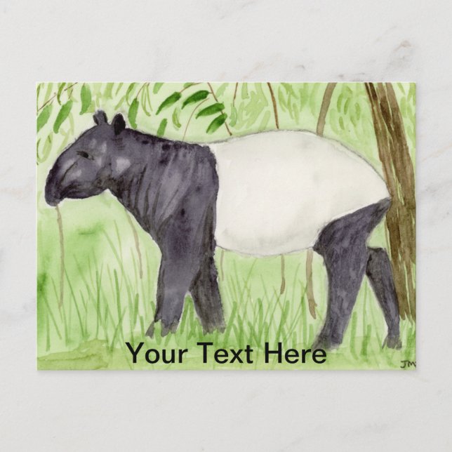 Tapir Postcard (Front)