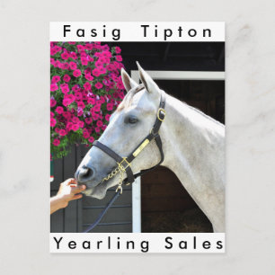 Tapit -Rote Hip no.140 Postcard