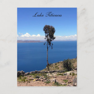 taquile lone tree postcard