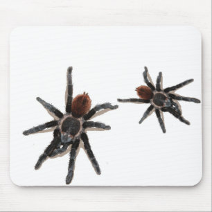 Taranchula spider live pet mouse mat