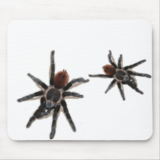 Taranchula spider live pet mouse mat
