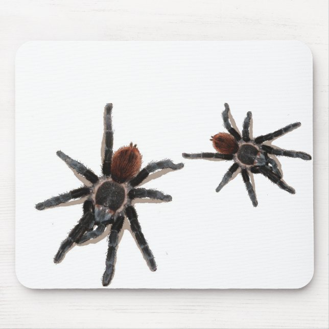 Taranchula spider live pet mouse mat (Front)