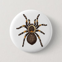 Tarantula