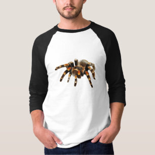 Tarantula black and orange spider T-Shirt