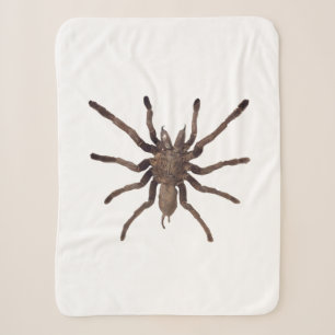 Tarantula Blanket 
